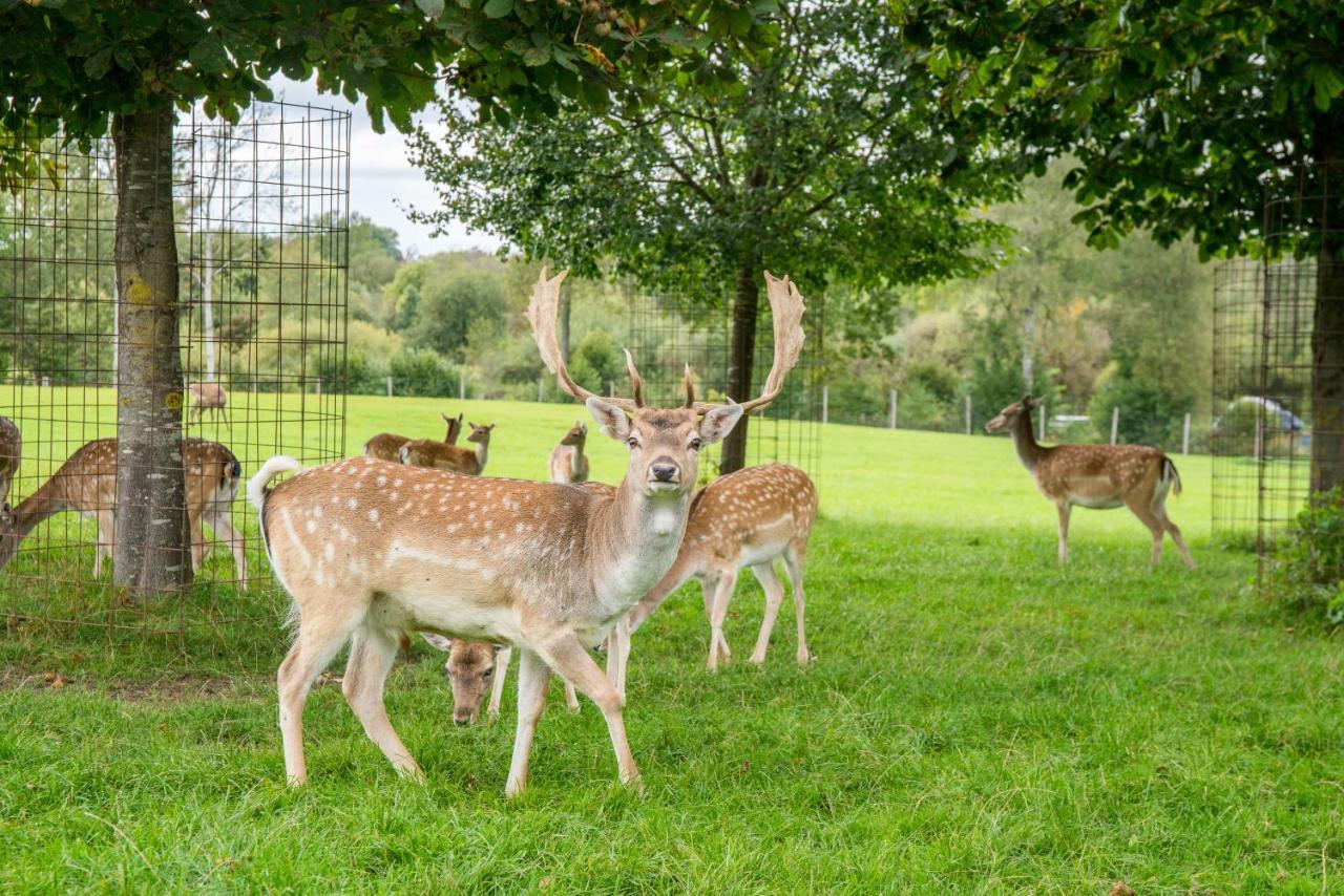 Hofgut Tiergarten Aulendorf