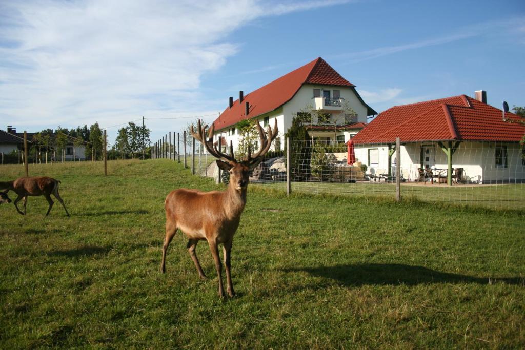 Hotel Hofgut Tiergarten Aulendorf